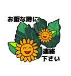 ひまわりんの年中使える日常の言葉（個別スタンプ：34）