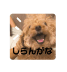 まはろくん2（個別スタンプ：7）