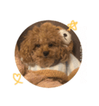 まはろくん3（個別スタンプ：3）