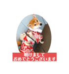 あずきスタンプ いち！（個別スタンプ：4）