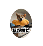 あずきスタンプ いち！（個別スタンプ：8）