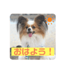 ちゅもちぃ（個別スタンプ：1）