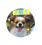 ちゅもちぃ（個別スタンプ：5）