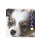 ちゅもちぃ（個別スタンプ：7）