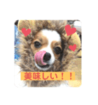 ちゅもちぃ（個別スタンプ：13）
