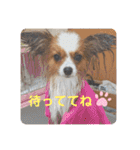 ちゅもちぃ（個別スタンプ：14）