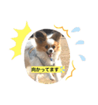 ちゅもちぃ（個別スタンプ：15）