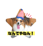 ちゅもちぃ（個別スタンプ：18）