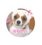 ちゅもちぃ（個別スタンプ：22）