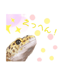 みなちんのレオパ2（個別スタンプ：1）