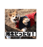 あずきスタンプ よん！（個別スタンプ：7）