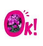 お花で遊ぼう15（個別スタンプ：3）