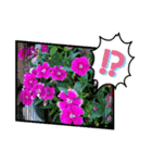 お花で遊ぼう15（個別スタンプ：7）