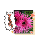 お花で遊ぼう15（個別スタンプ：12）