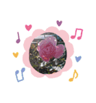 お花で遊ぼう15（個別スタンプ：15）