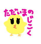 colorfulピヨコ④（個別スタンプ：1）