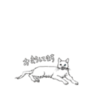 元気な猫たち（個別スタンプ：3）