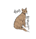 元気な猫たち（個別スタンプ：4）