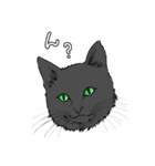 元気な猫たち（個別スタンプ：5）