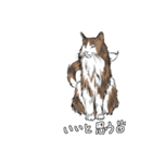 元気な猫たち（個別スタンプ：6）