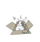 元気な猫たち（個別スタンプ：8）