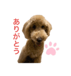 スタンプーえまのきもち（個別スタンプ：6）