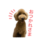 スタンプーえまのきもち（個別スタンプ：9）