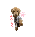 スタンプーえまのきもち（個別スタンプ：12）