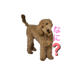 スタンプーえまのきもち（個別スタンプ：14）