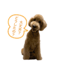 スタンプーえまのきもち（個別スタンプ：18）