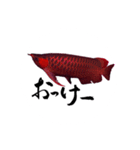 アロワナ×筆文字（個別スタンプ：6）