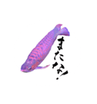 アロワナ×筆文字（個別スタンプ：8）