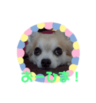 2.ゆず（個別スタンプ：3）