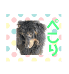 4.ププ（個別スタンプ：3）