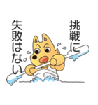 国立情報学研究所 情報犬ビットくん 2020（個別スタンプ：6）