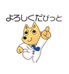 国立情報学研究所 情報犬ビットくん 2020（個別スタンプ：13）