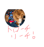 たぬたぬスタンプ2 リーチ麻雀（個別スタンプ：3）