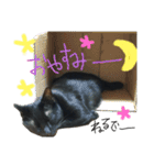 黒猫〜ねこちゃん〜（個別スタンプ：19）