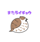 日本の狩猟鳥獣（個別スタンプ：21）