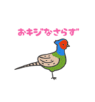 日本の狩猟鳥獣（個別スタンプ：29）