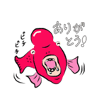 たのしいコブダイ（個別スタンプ：3）