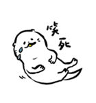 白いカワウソ ピピ郎（個別スタンプ：11）