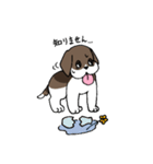ビーグル ぷみ太郎（個別スタンプ：10）