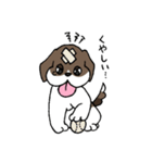 ビーグル ぷみ太郎（個別スタンプ：15）
