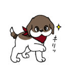 ビーグル ぷみ太郎（個別スタンプ：20）