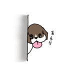 ビーグル ぷみ太郎（個別スタンプ：29）