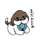 ビーグル ぷみ太郎（個別スタンプ：37）
