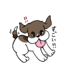 ビーグル ぷみ太郎（個別スタンプ：38）