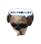 まろんせんぱい2（個別スタンプ：8）