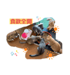 猫つぶやく（個別スタンプ：5）
